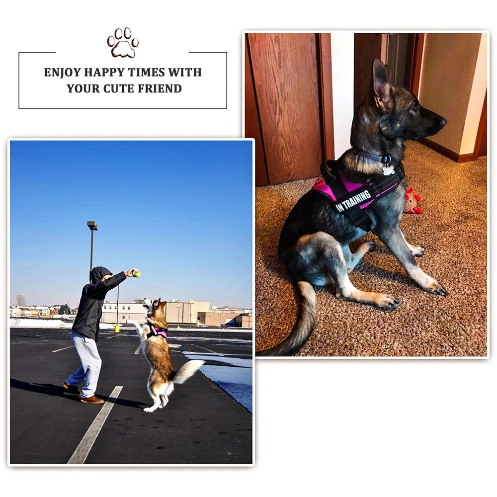 Harnais "SafeWalk" Personnalisé Réfléchissant – GoSwiftPaw™