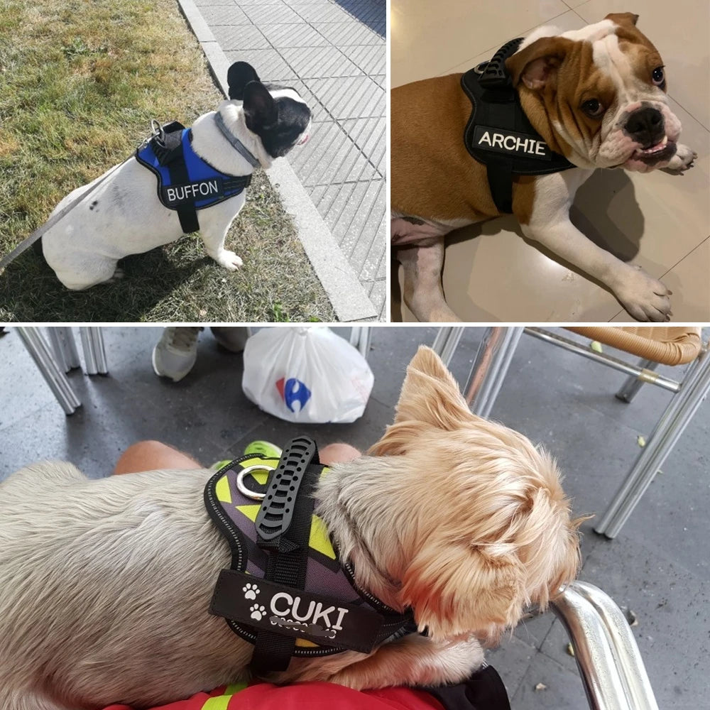 Harnais "SafeWalk" Personnalisé Réfléchissant – GoSwiftPaw™