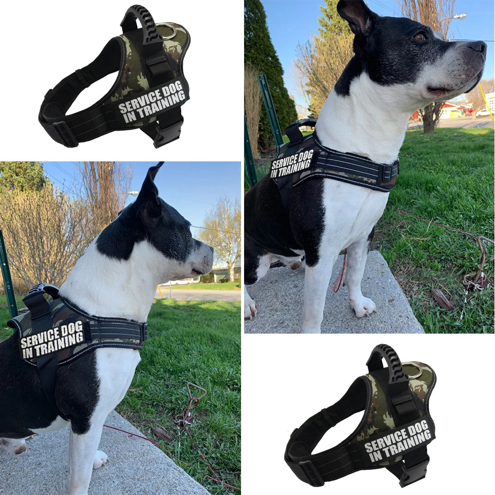 Harnais "SafeWalk" Personnalisé Réfléchissant – GoSwiftPaw™