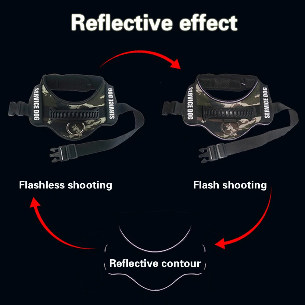 Harnais "SafeWalk" Personnalisé Réfléchissant – GoSwiftPaw™