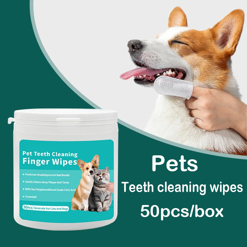 Lingettes Dentaires Jetables pour Chiens et Chats – Nettoyage Facile des Dents et des Gencives